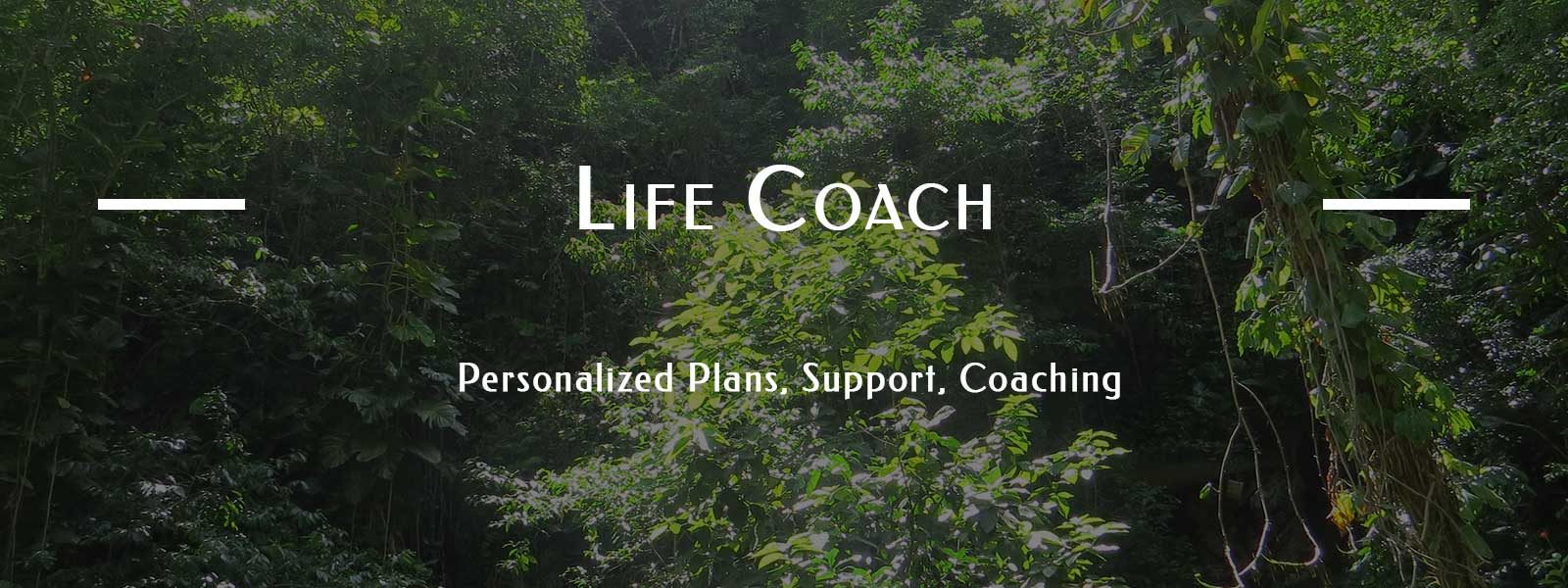 life-coach-slide